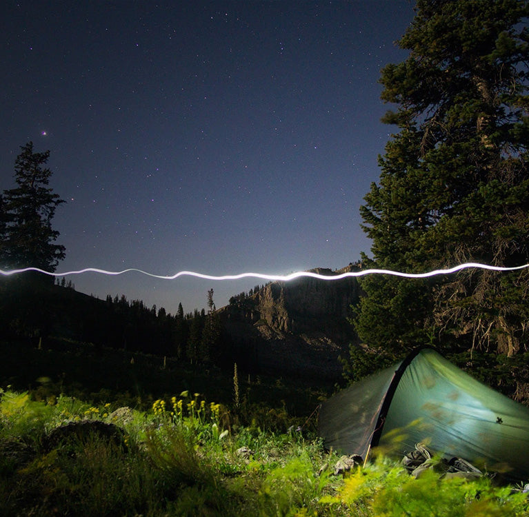 self-guided elk hunt consulting