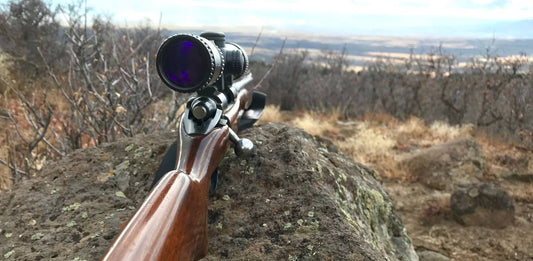 How to Improve Your Hunting Success: Expert Tips and Tricks