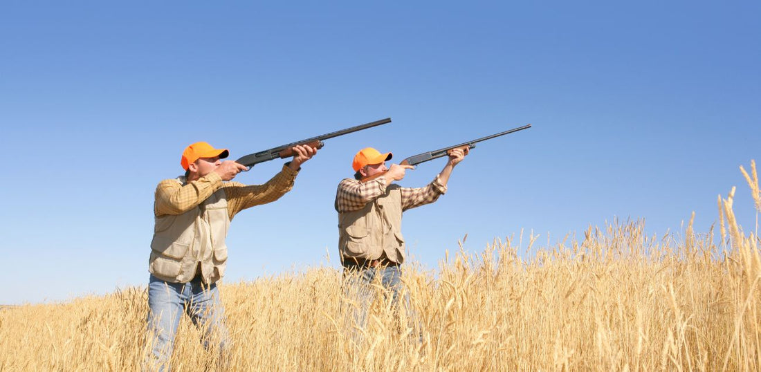 Why So Many Hunters Fail to Draw a Tag (and How to Avoid It)