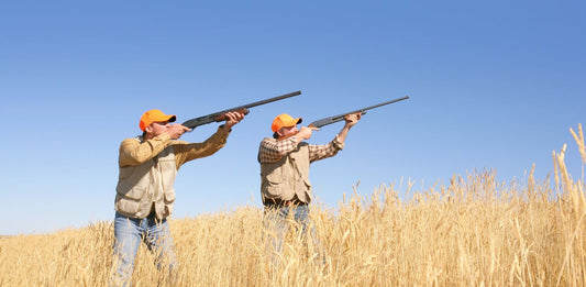 Why So Many Hunters Fail to Draw a Tag (and How to Avoid It)