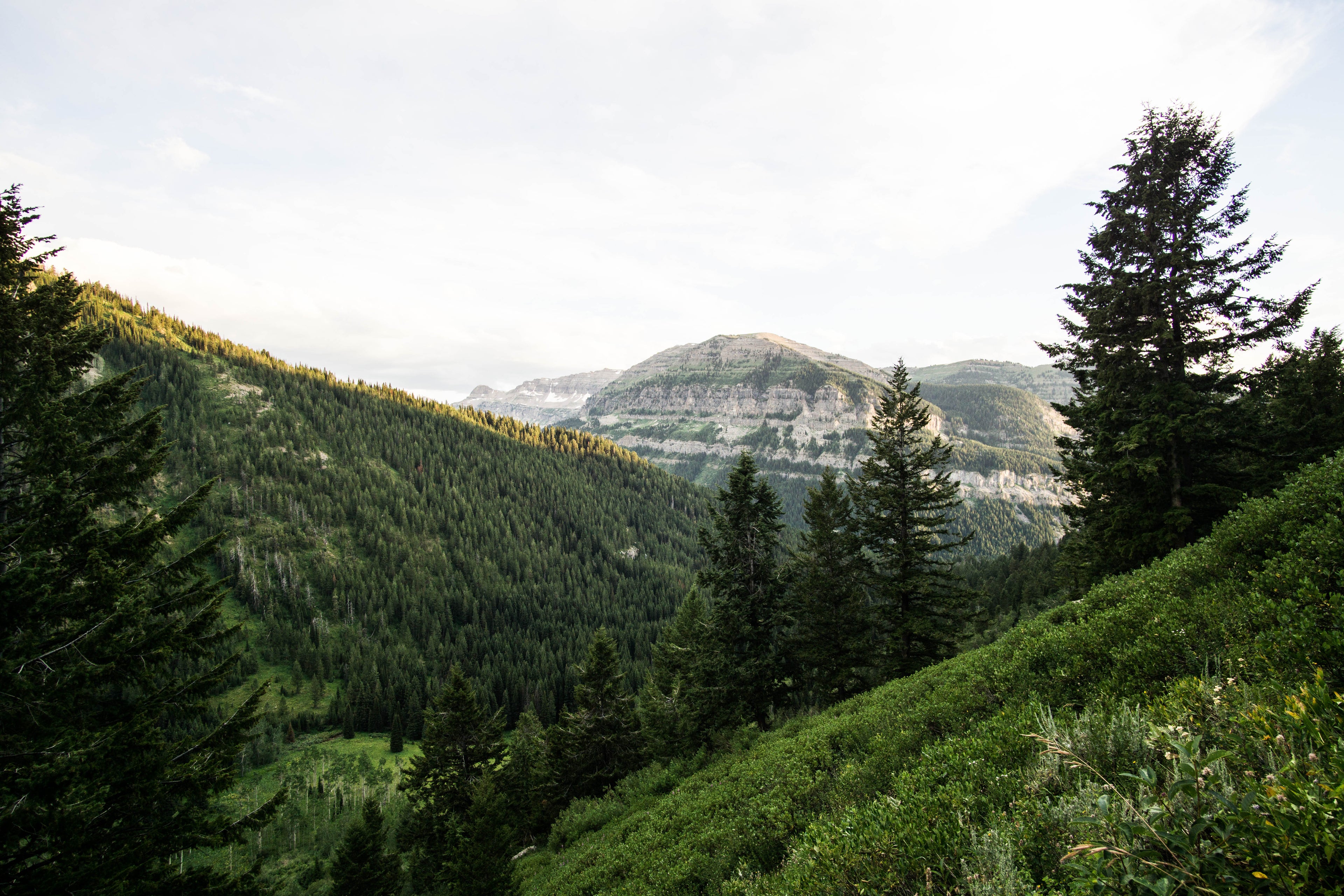 hunt planning services